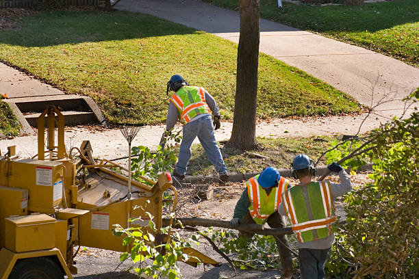 Best Aeration Services  in Kersey, CO